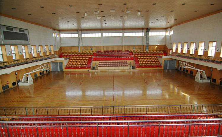 廣東東莞某中學體育館吸音板工程