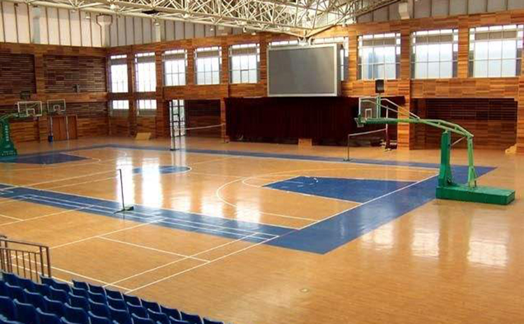 廣東深圳某中學體育館吸音工程